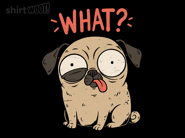 Pug Dog Funny