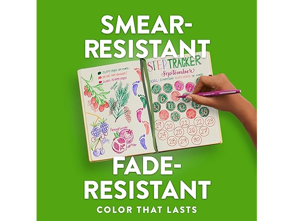 Paper Mate Flair Point-Guard Porous Point Pens