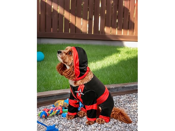 Rubies Ninja Pet Costume for Dogs or Cats, Sm