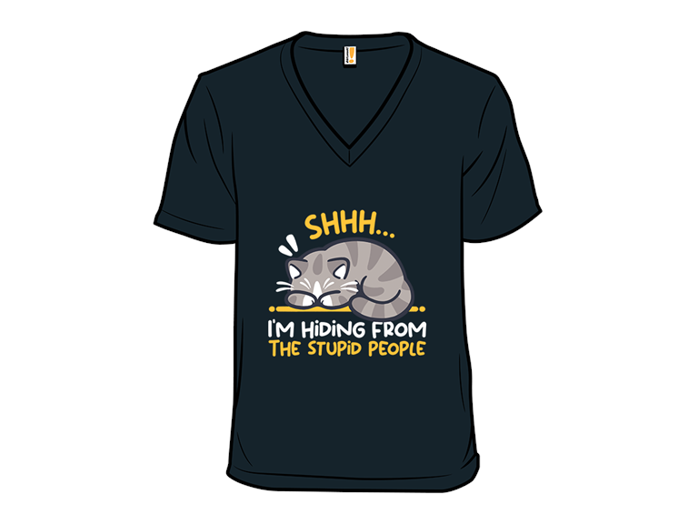 Hiding from the Stupid People