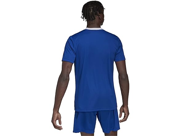 adidas Entrada Jersey Royal Blue (M/T)