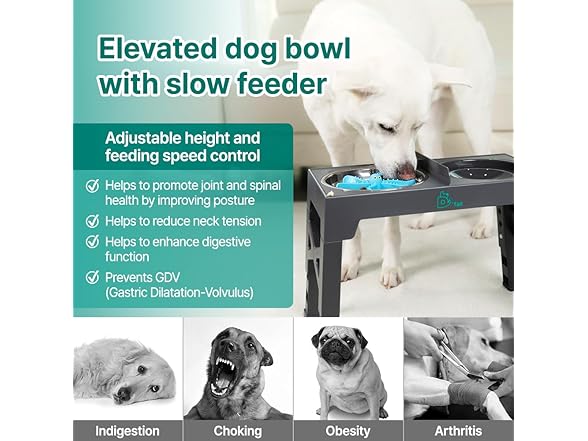 sallang D'tail Elevated Dog Bowls, Adjustable