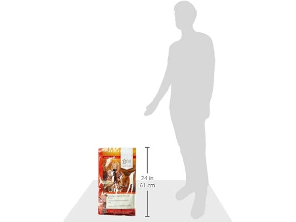 The Packaging Wholesalers 24" x 12" x 6"