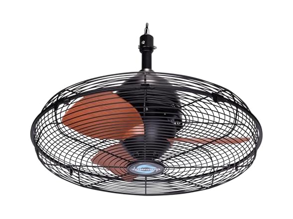 Tornado 20-Inch Outdoor Downrod Mount Ceiling Fan