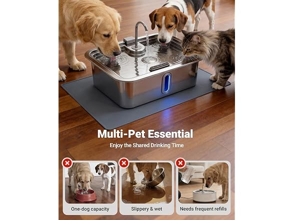 3.17Gal/12L Dog Water Fountain with Silicone