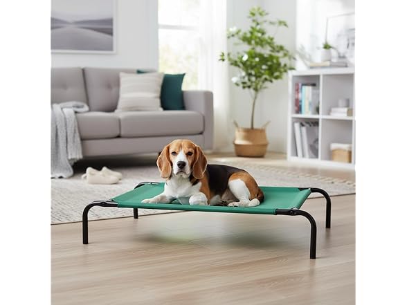 Amazon Basics Cooling Breathable Elevated Dog, Green