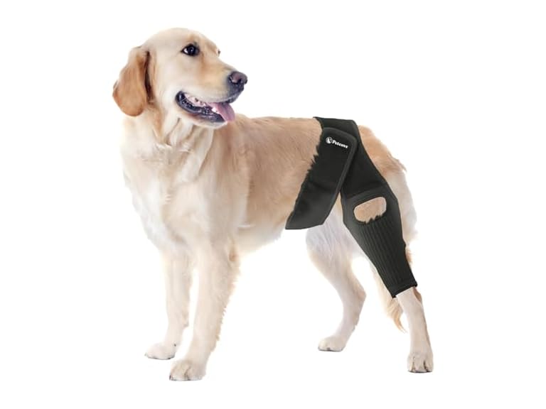 PetCove Dog Knee Brace for Torn ACL Hind Leg, Medium