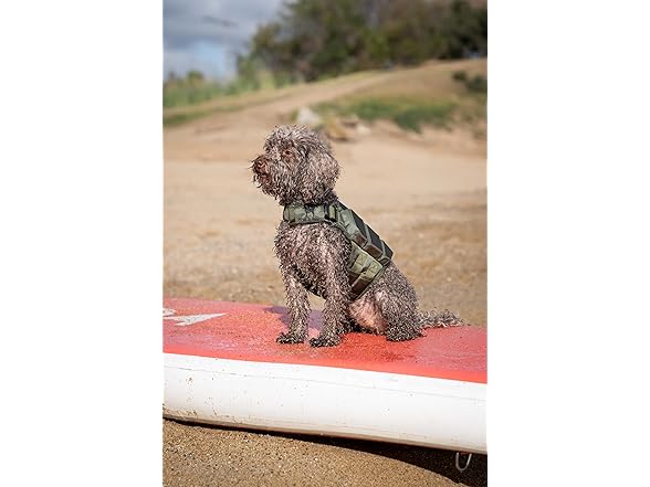 NOAH & PAW Dog Life Jacket- XSmall