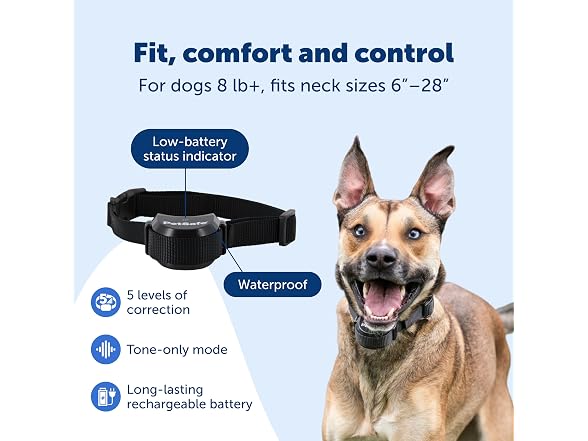 PetSafe Stay & Play Compact Wireless Dog Fence, Up to 3/4 Acre