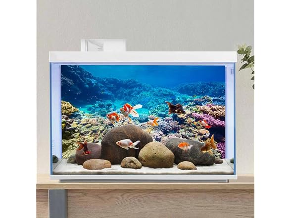 AWERT Aquarium Background Coral Ree