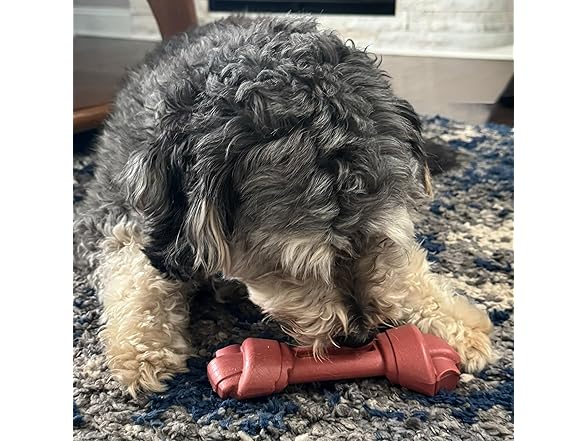 SPOT Bam-Bones Eco Knotted Bone, Beef Flavor