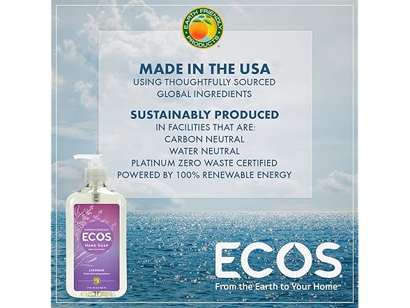 Earth Friendly Hand Soap 17oz