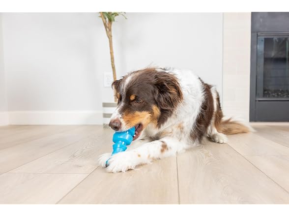 Chuckit! Chuckit! Bones Glow Treat Fish Puzzle