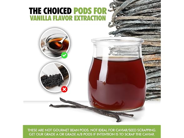26 Organic Madagascar Vanilla Beans