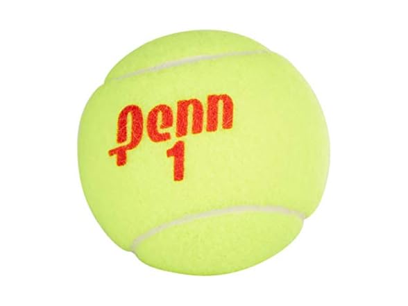 Penn Championship Tennis Balls 12 Cans