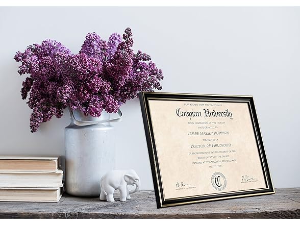 MBI MCS 8.5x11 Inch Extruded Document Frame