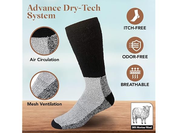 Debra Weitzner Women (10-13) Thermal Merino Socks