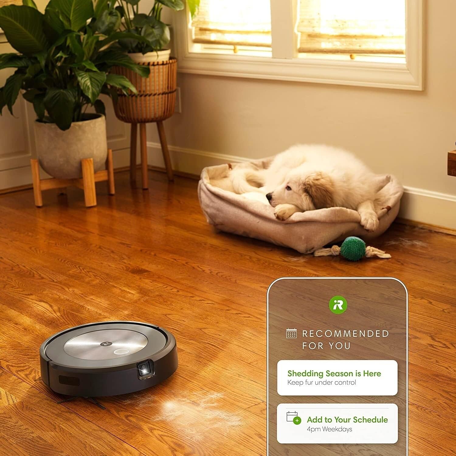 iRobot Roomba j7+ Robot Vacuum w Base - Gallery 16