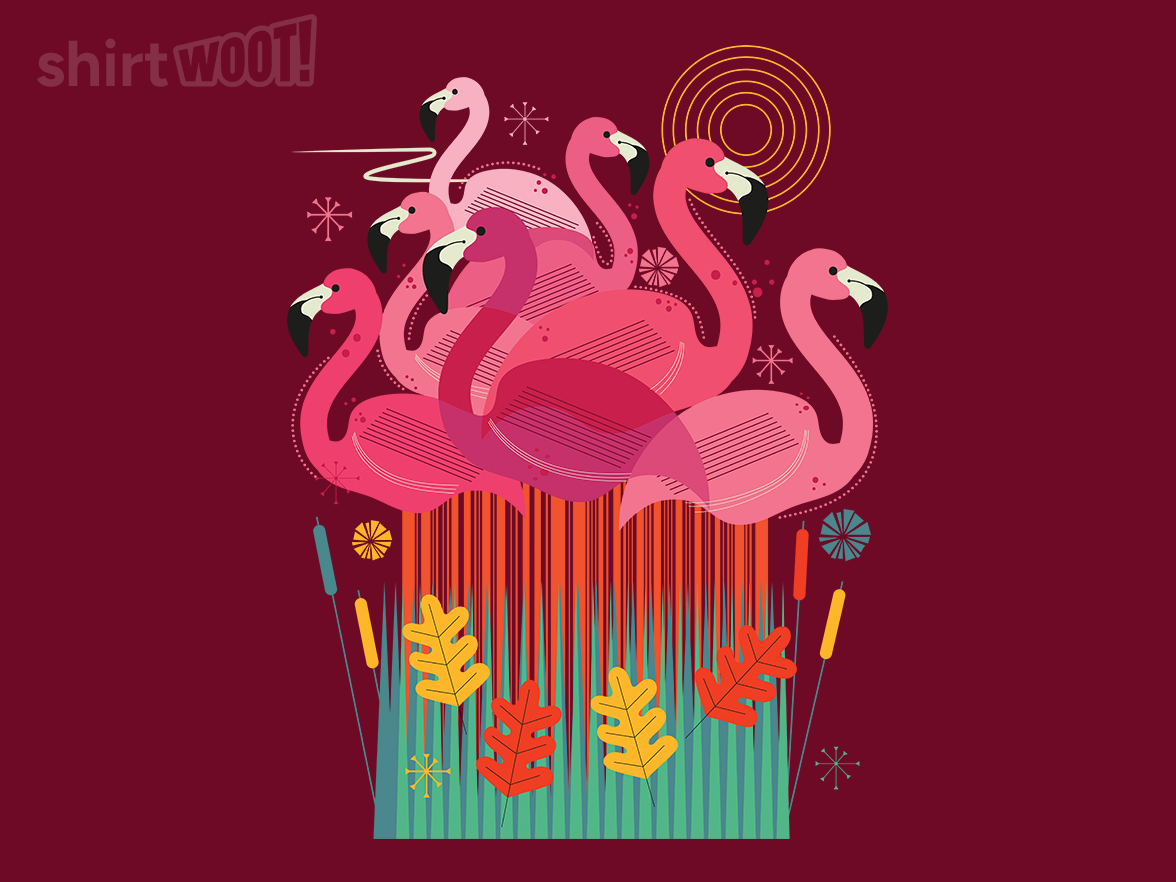 Flamingos - Gallery 4