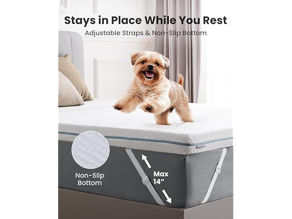 Dreamsmith Twin Mattress Topper - 3 Inch