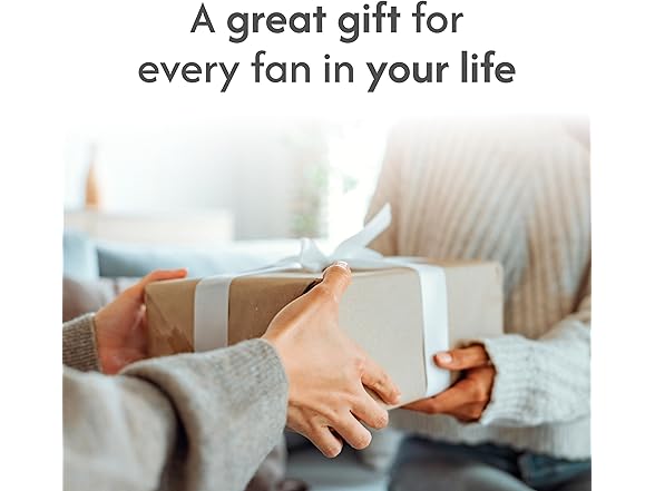 ARIZONA CARDINALS 16 5Section Tray