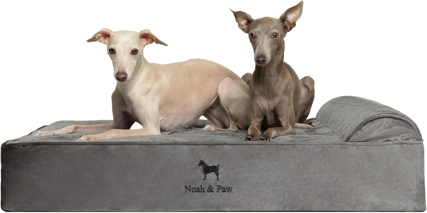 NOAH & PAW Orthopedic Dog Beds- Large - Gallery 11