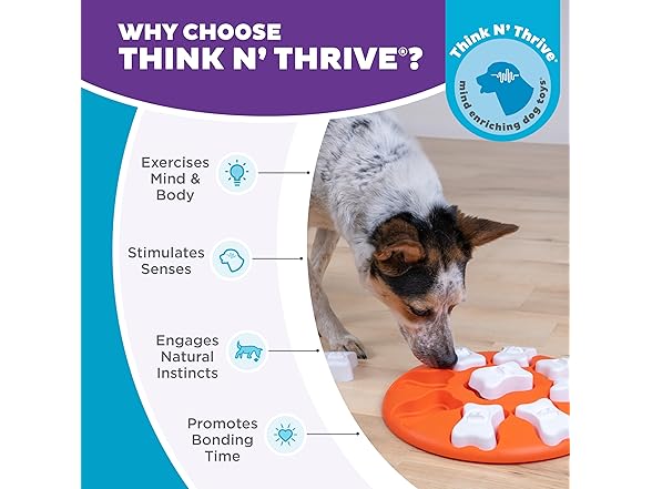 Outward Hound Dog Smart Treat Puzzles