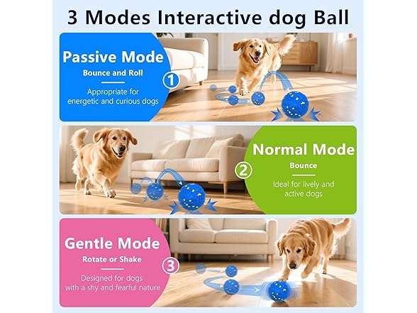 Zuykjeagle Interactive Dog Toy Ball