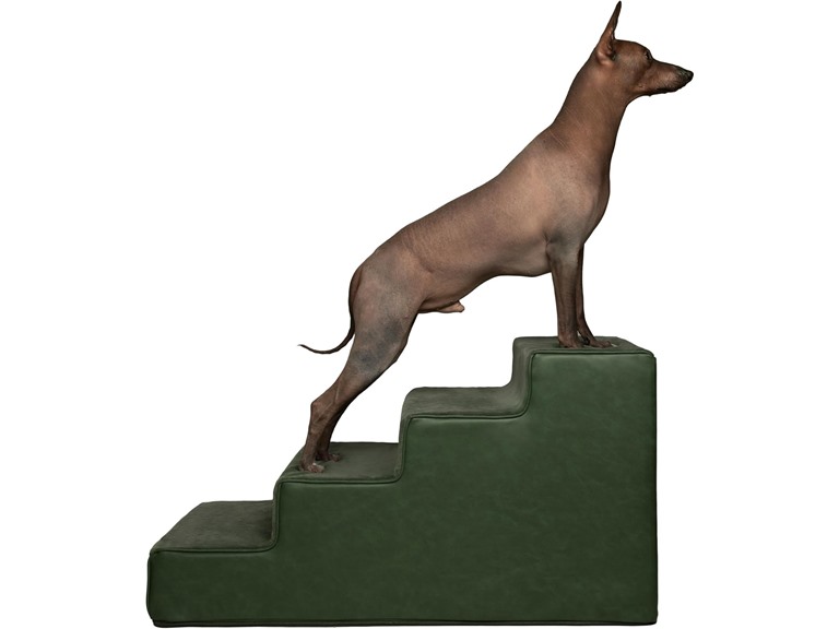 NOAH & PAW ST-STA-LE-GR-4 NOAH & PAW Dog Stairs Green