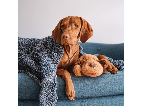 Snuggle Puppy Behavioral Aid Toy (Biscuit)
