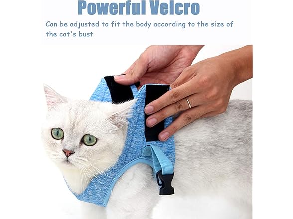 PJDDP Small Cat Harness with Leash