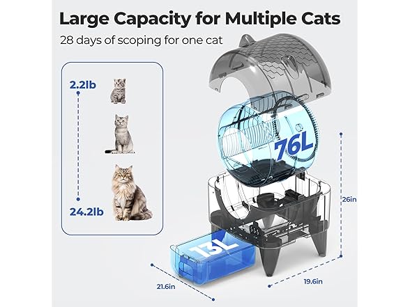 Self Cleaning Litter Box Automatic: Extra Large