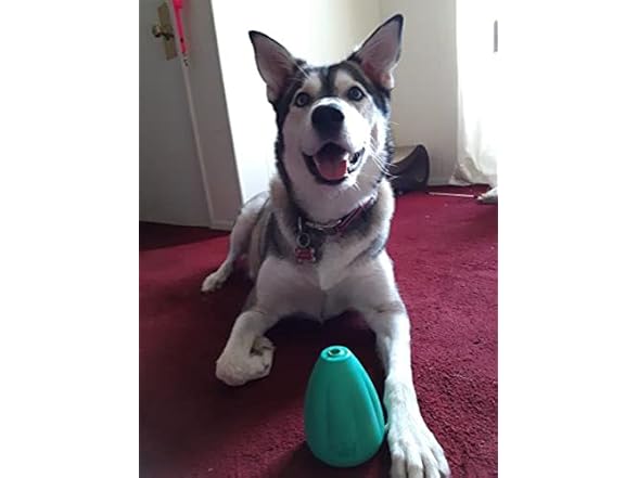 Chew King by Mammoth Premium Treat Dispensing Dog Toy