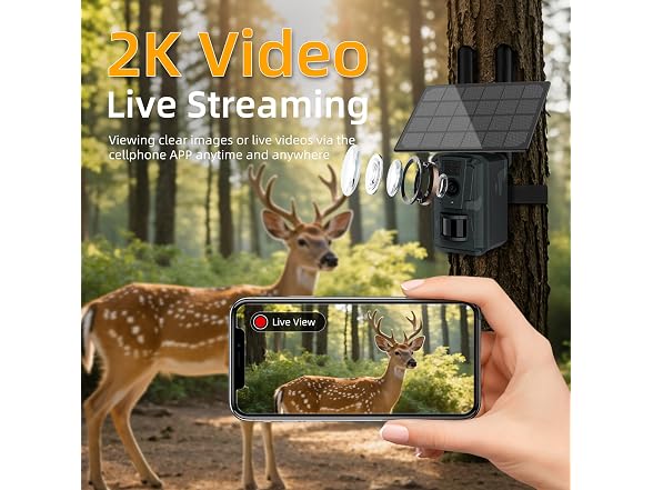 AXB Trail Camera with Night Vision