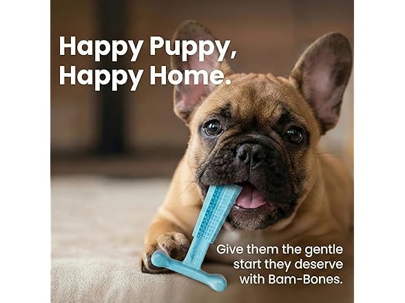 SPOT Bam-Bones Puppy T-Bone Dog Chew Toy- 6" Blue
