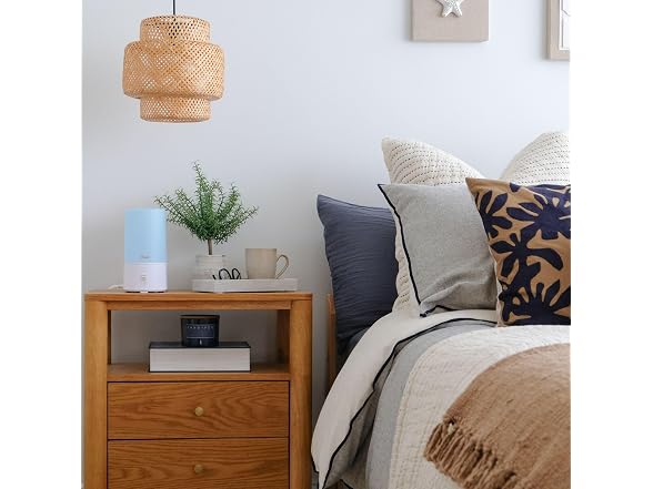 Crane Crane Warm Mist Humidifier, Small
