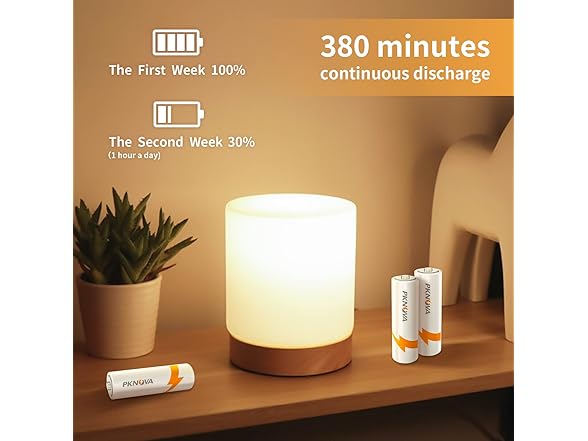 TEBANTY 30-Count Good Lucky Batteries