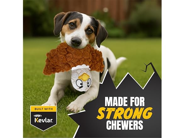 Bite Force Dog Chew Toys(2)