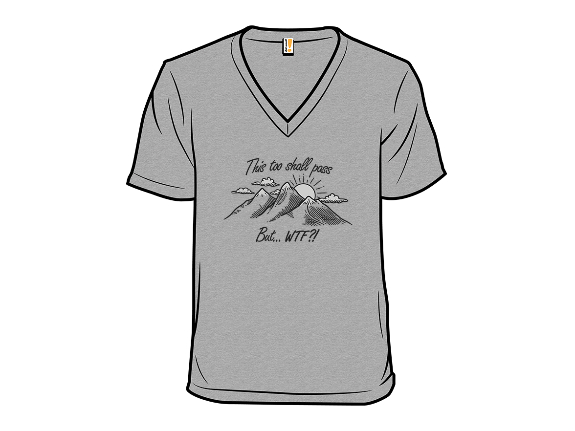 This Too Shall Pass but WTF?! - Gallery 10