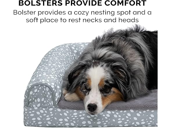 Furhaven Memory Foam Dog Bed for Medium/