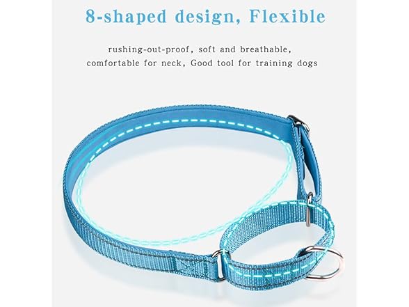 Reflective Martingale Dog Collar