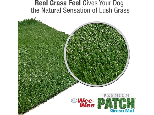 Four Paws Wee-Wee Premium Patch