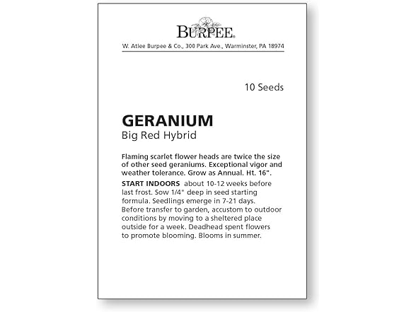 Burpee Big Red Geranium Seeds 10 seeds