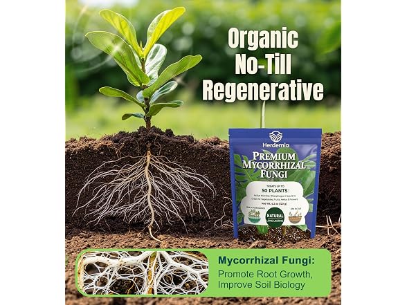 Herdemia Mycorrhizal Fungi