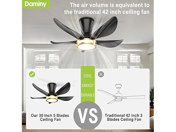 DAMINY Ceiling Fan with Light | 30In