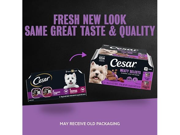 24ct Cesar Classic Loaf in Sauce Adult Wet Dog Food