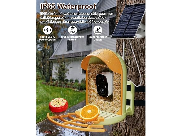 Solar Powered Bird Feeder with Camera