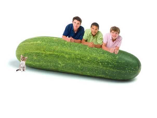 ?ig Ol' Cucumber