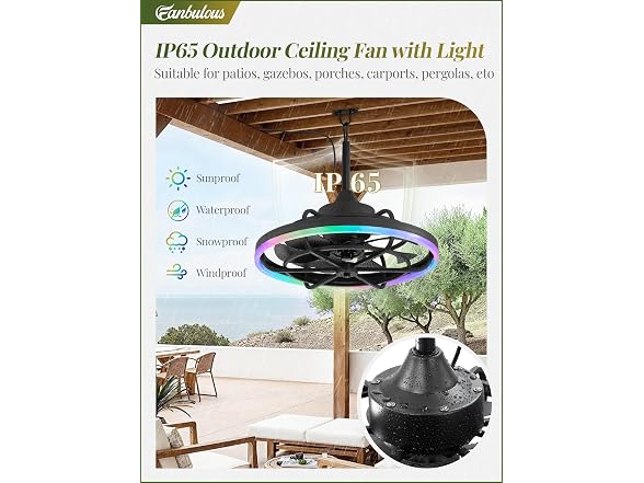 Fanbulous 20" Outdoor RGB Ceiling Fan