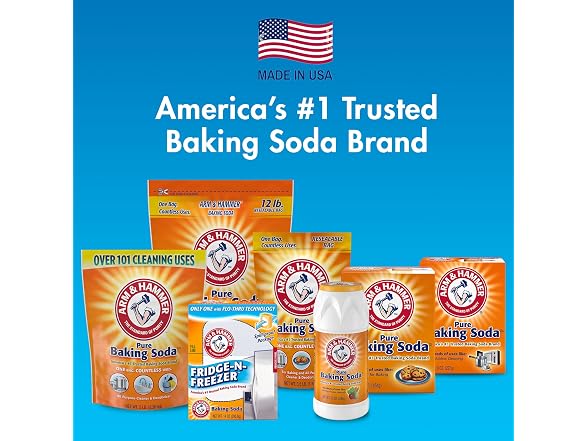 ARM and HAMMER Baking Soda Fridge Air Filter